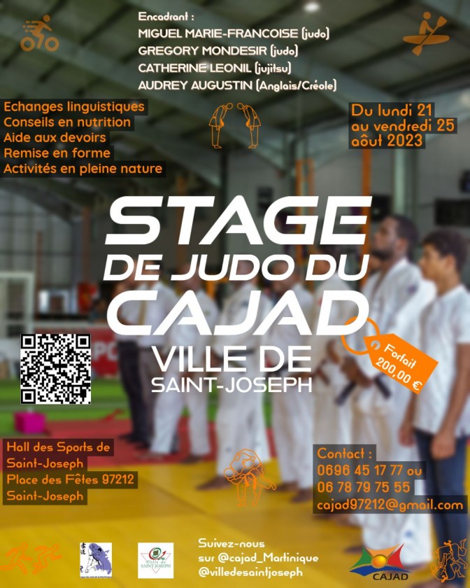 Image de l'actu 'Stage Judo, Jujitsu, Anglais, Multi activités... Du 21 au 25 aout 2023'